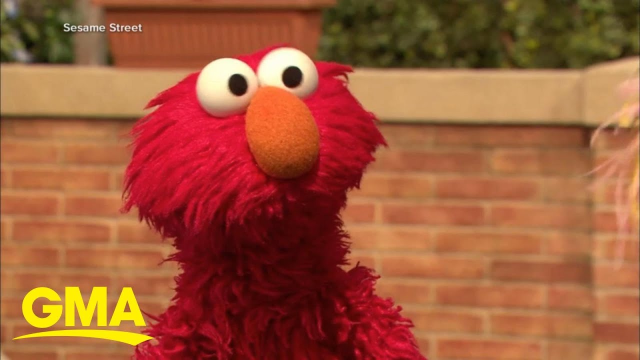 Elmo&rsquo;s feud with a pet rock goes viral l GMA