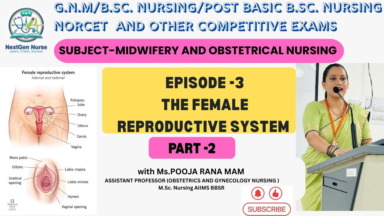 Clitoris IFemale Reproductive System Explained in Hindi (PART 2 )Nursing Students