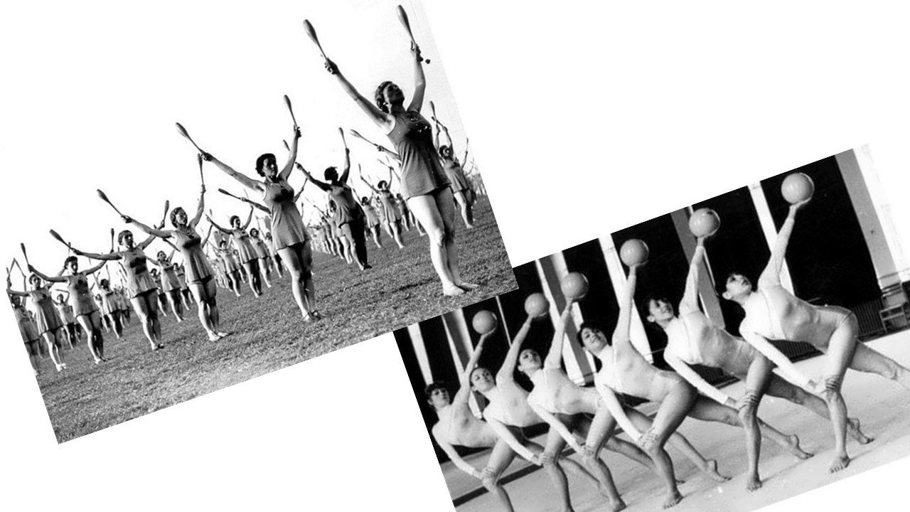 Storia della Ginnastica e sue Sezioni