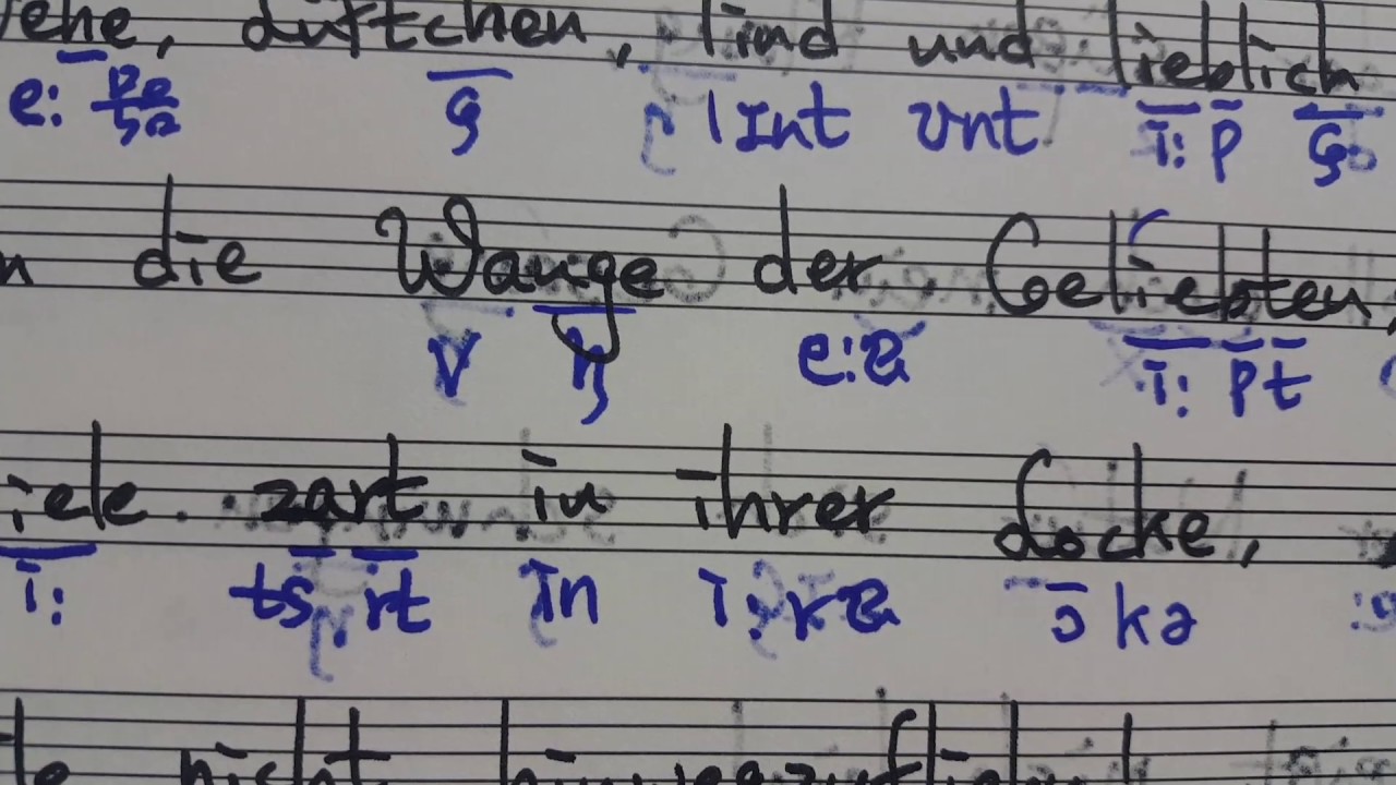 2019 서울대 입시곡 Brahms Botschaft Text Aussprache 브람스가곡 가사발음 명지영