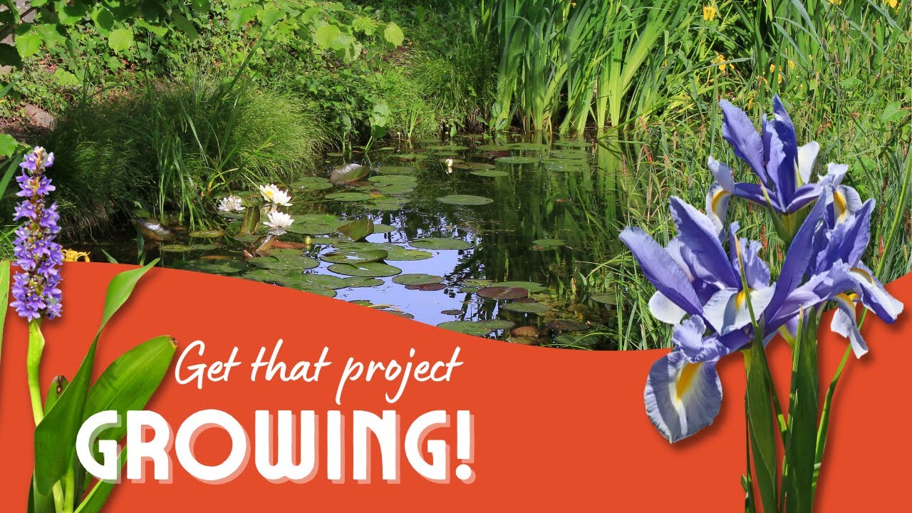 Get that Pond Growing with “Slow” and “Fast” Native Wetland Species