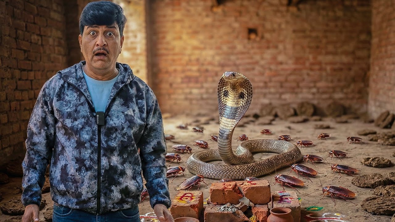 तंत्र मंत्र वाले ने बताया घर में है जहरीला नाग! ढूंढ़ने पर सच में निकला Cobra Snake! देखिए ये Video.