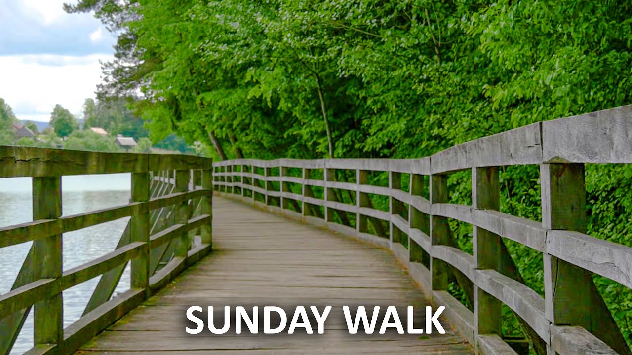 Sunday Walk (calming soothing stress relief music)