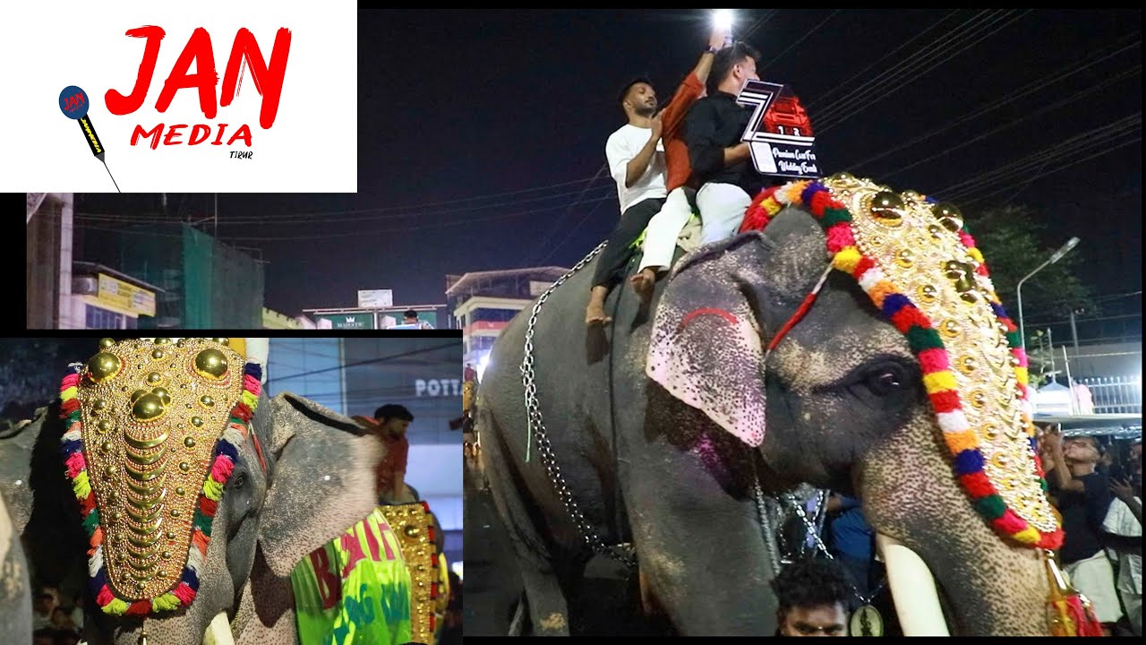 കോട്ട് ഫെസ്റ്റിന് സാംസ്‌കാരിക ഘോഷയാത്രയോടെ സമാപിച്ചു.