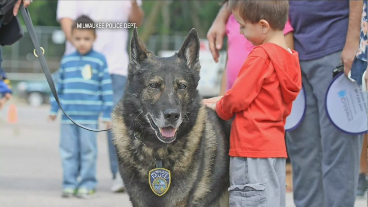 Funeral held for K9 Officer Kenny