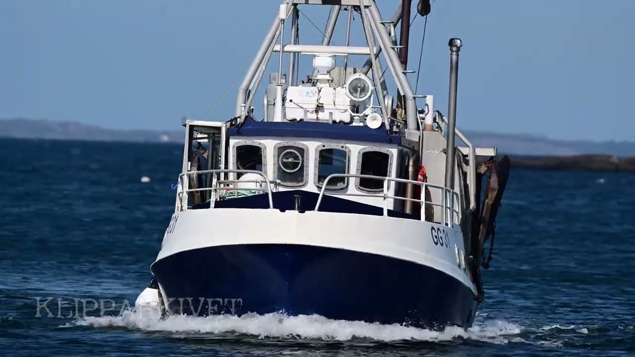 Fiskebåtar Lerkil, GG139 Hjälmaren, GG749 Orion och GG31 Eva