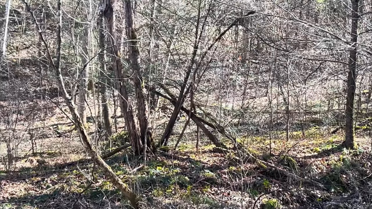 Walking to the spring where Squatch  live!