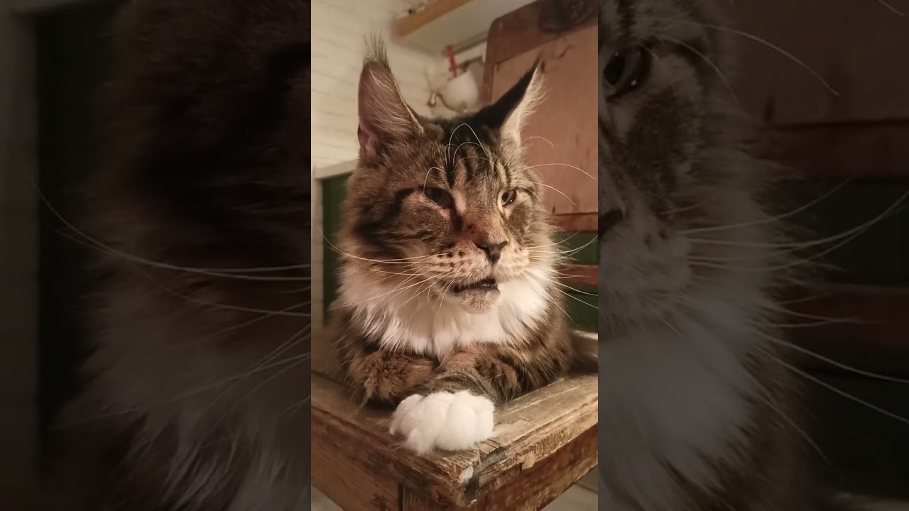 Чем ближе тем красивее
