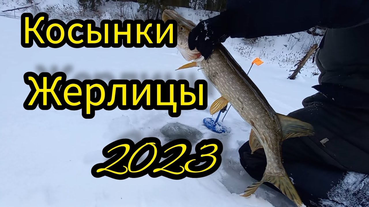 ДУМАЛ МЕЛОЧЬ, А ОНА НЕ ИДЕТ. РЫБАЛКА НА КОСЫНКИ И ЖЕРЛИЦЫ.