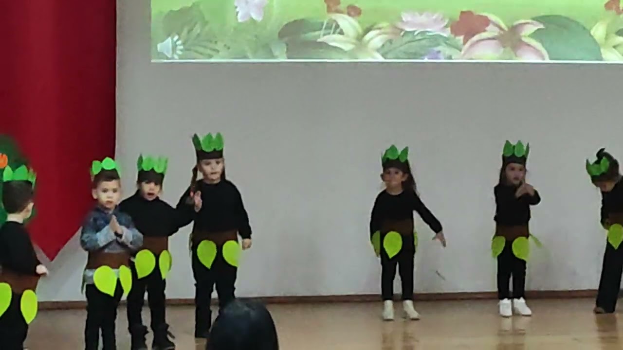 Olivia orman haftası gösterisi. 16 Ocak 2023