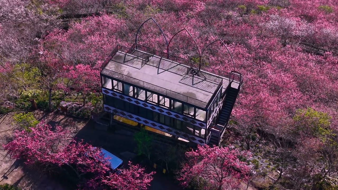 武界的天空之城