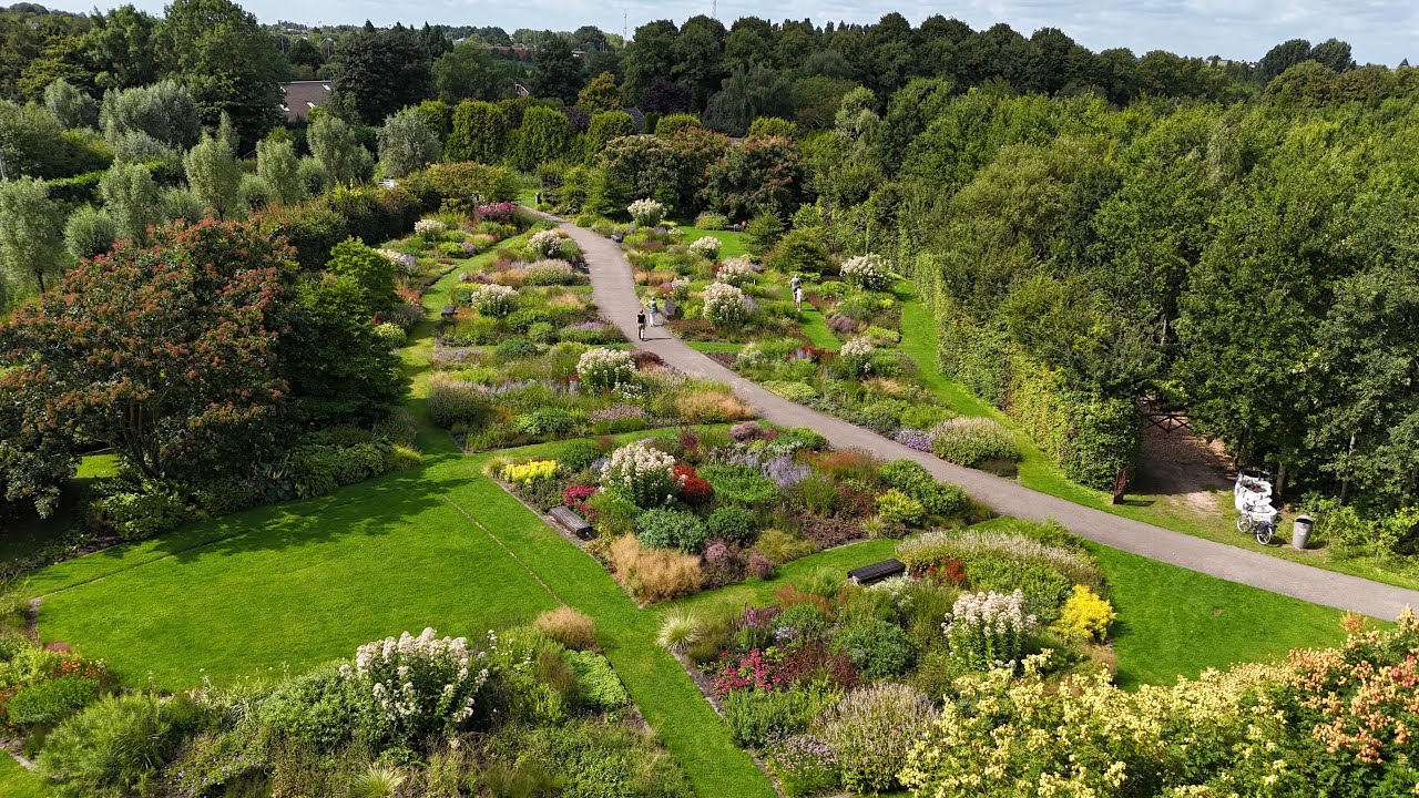 Vlinderhof augustus 2025
