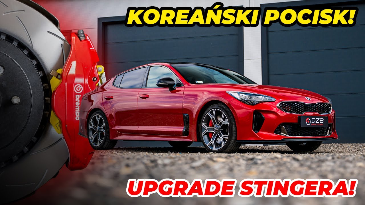 500 KONI Z KOREI! ROBIMY STINGERA!