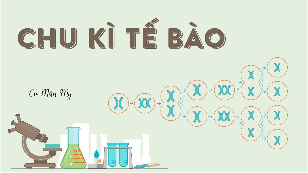 Chu kì tế bào - Sinh học 10 - OLM.VN