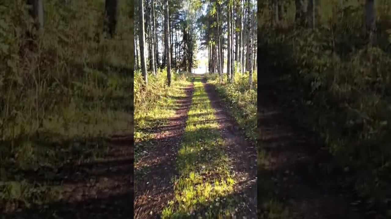 kaunis ilta maisema