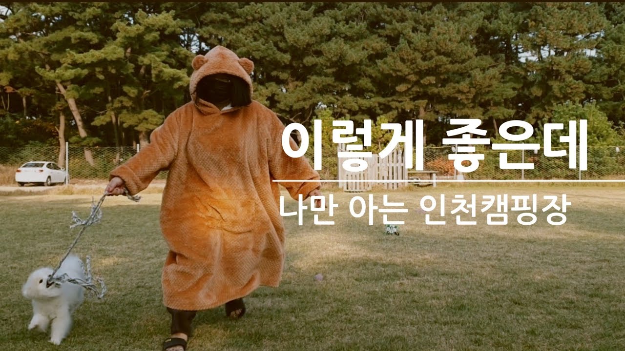 왜 홍보를 안하시지? 인천 개인울타리 ○○○○ 애견캠핑장