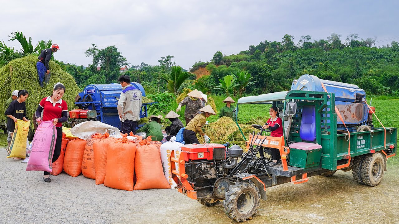 Use Truck Transport Rice Thresher In Rice Harvest Season - Buy B40 Iron Fence And Concrete Pillar