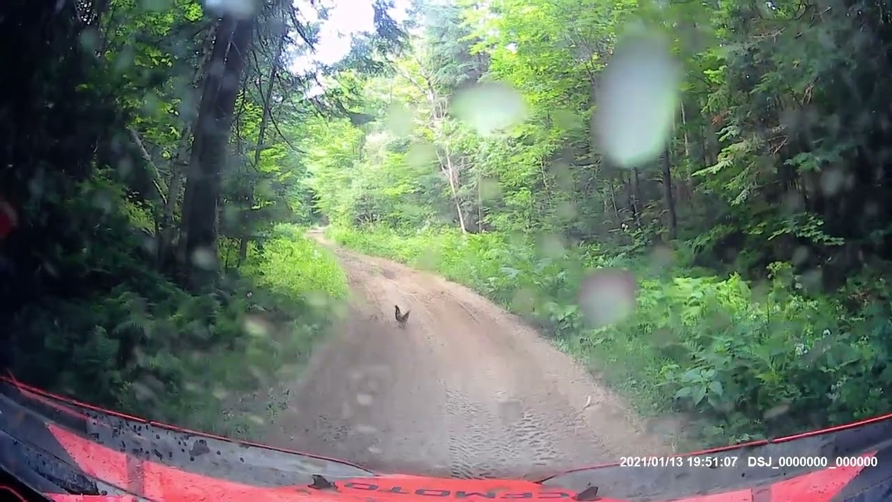 Island Pond VT 7/5/24