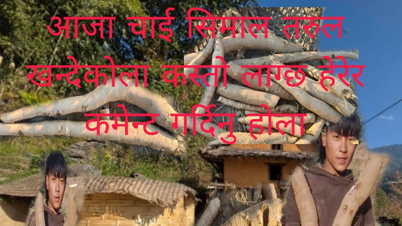 सबोइम माया छ होई ह्याप्पी माघे संक्रान्तिको शुभ कामना 