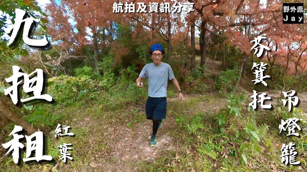 烏蛟騰｜九担租紅葉情報🍁2024｜南脊登上吊燈籠｜芬箕托｜欣賞上有蘇杭下有印塘美譽之稱的印洲塘［航拍及資訊分享］