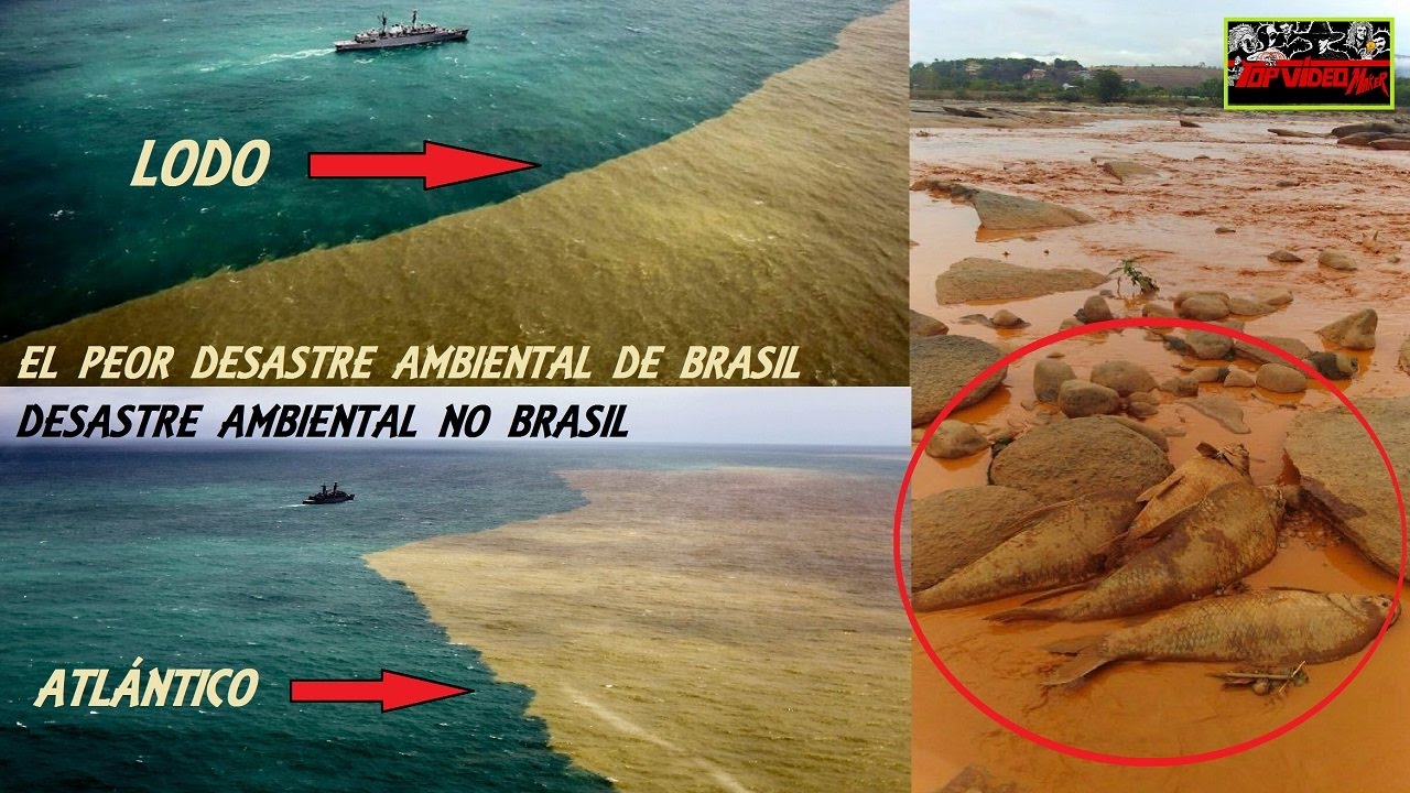 ESTE ES EL PEOR DESASTRE AMBIENTAL DE BRASIL / DESASTRE AMBIENTAL NO BRASIL - TOPVIDEO MAKER