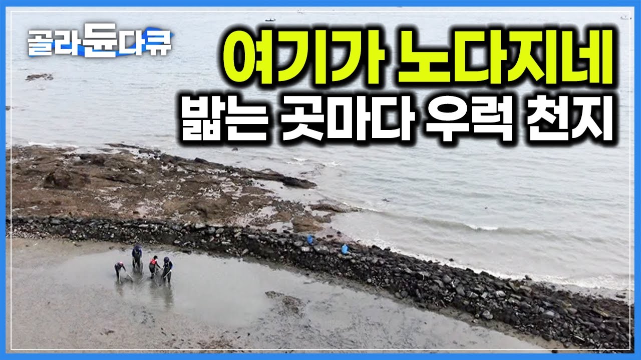 잡혀도 너무 잡히니 재밌을 수밖에. 족대 하나로 우럭 쓸어 담는 법｜바다 위 생선 감옥 &lsquo;독살&rsquo;｜한국기행｜#골라듄다큐