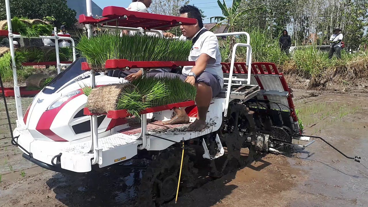 Mesin tanam padi YANMAR tipe YR 60 D