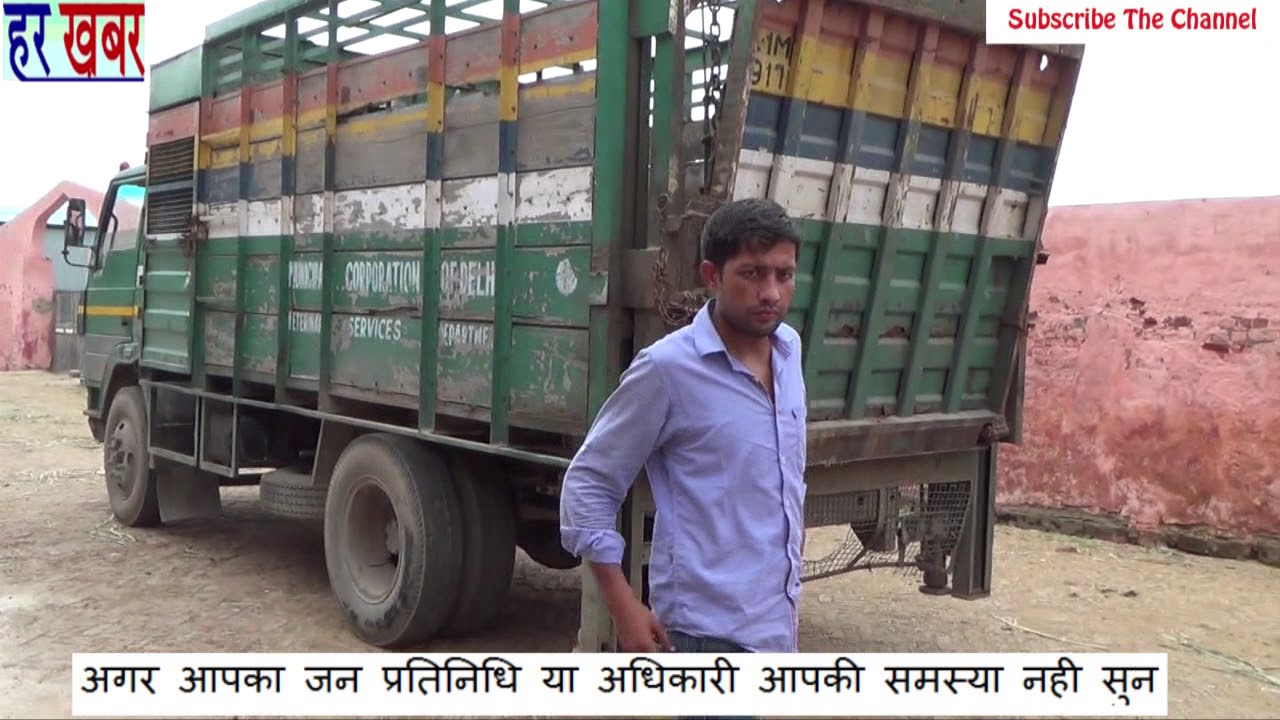 डाबर हरे-कृष्णा गौशाला में भेजी गई घुमनहेड़ा गांव की गाय,,👉Like, Share & Subscribe