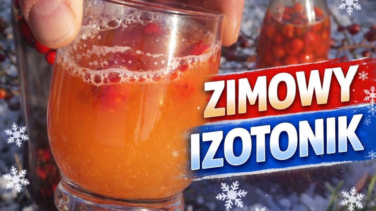 Zapomnij o suplementach! 🌹 Zimowy Eliksir z Dzikiej Róży