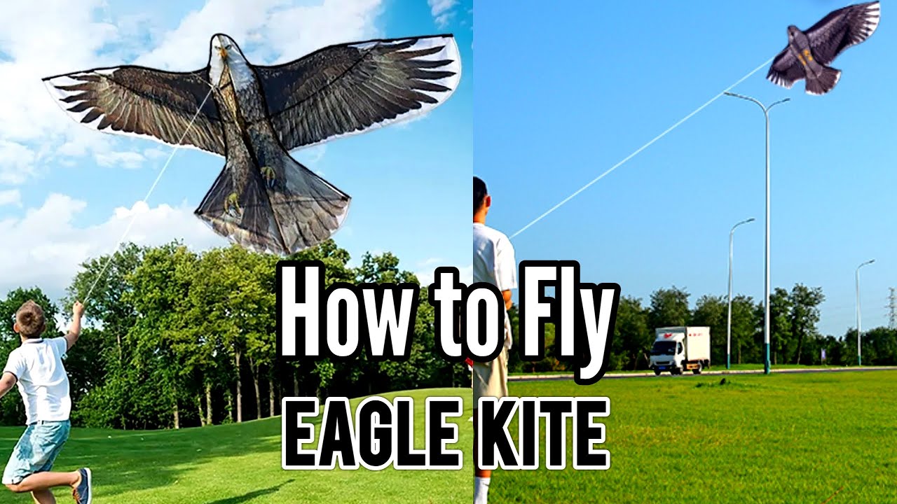 How To Fly Eagle Kite | Eagle Kite Flying Test