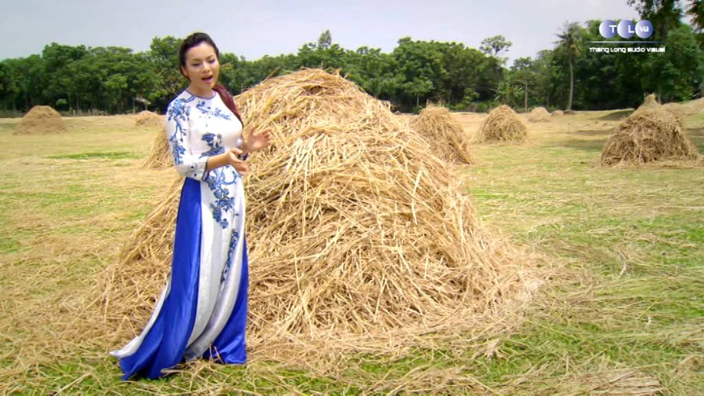 Trở về - Tân Nhàn