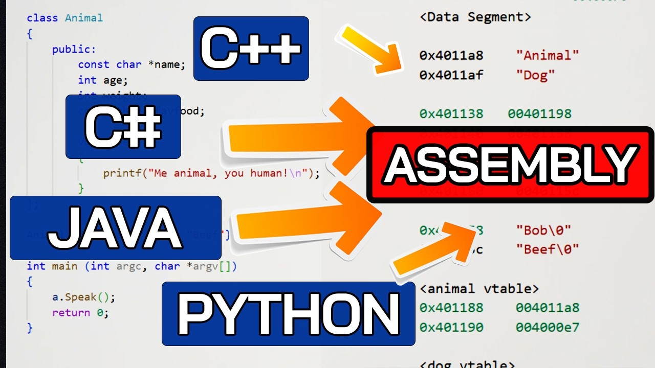 Object-Oriented Programming in Assembly Explained | Vtables, Polymorphism | Python, Java, C++, C#