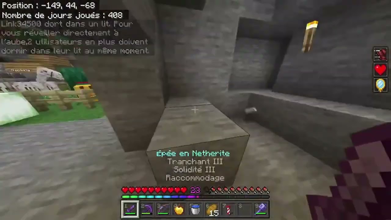 je troll en invisible [CLIP]