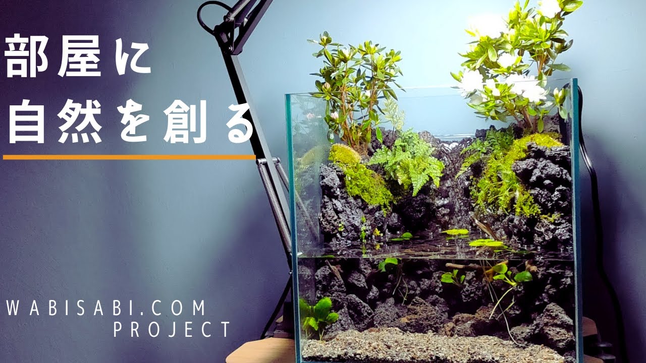 【アクアテラリウムの作り方】滝が流れ落ちる水槽を作る