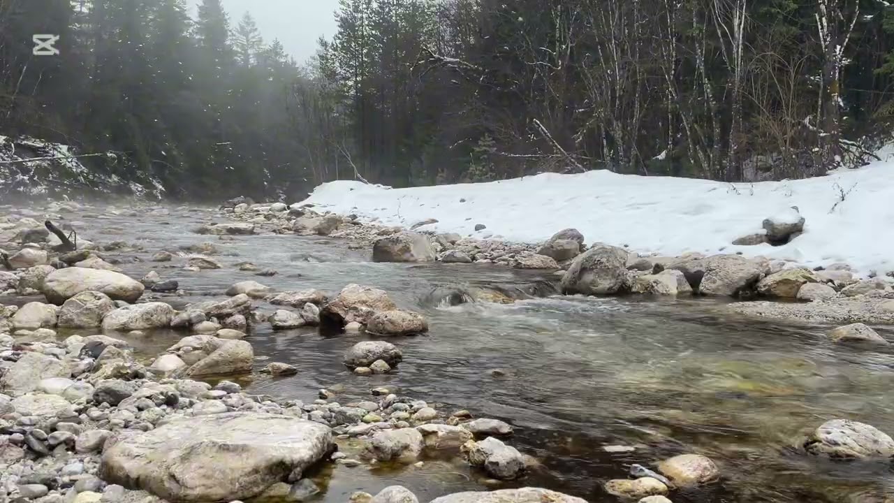 🌿 “Stream in Winter Silence | 20 Minutes”