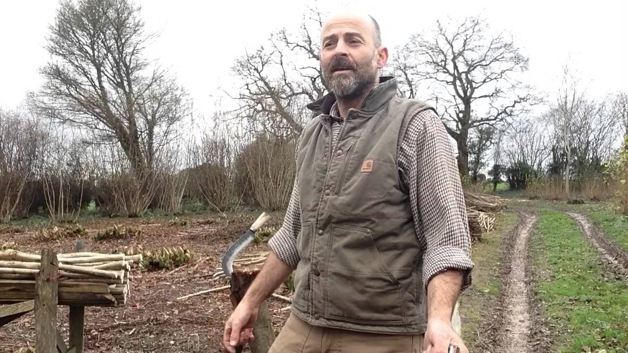 Coppicing Hazel for a living (and UK Butterflies)