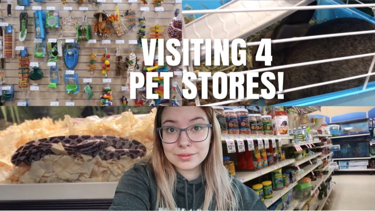 Visiting 4 Different Pet Stores In One Day! | Pet Store Vlog