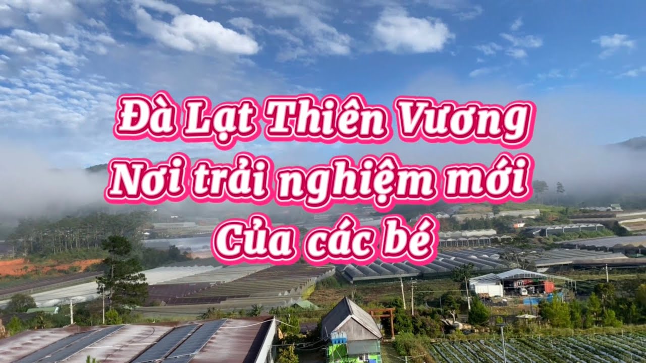 Ngày đầu tới Đà Lạt Thiên Vương trải nghiệm// trải nghiệm cùng con