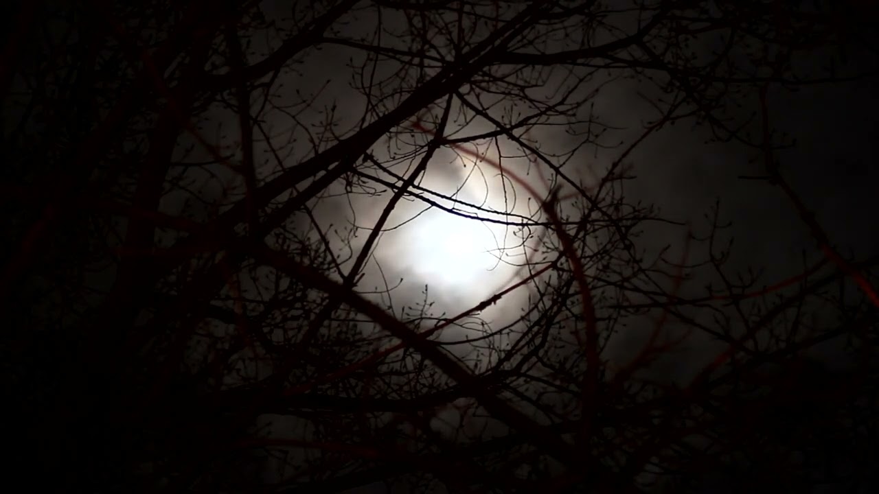 Full Moon In Leo Meditation Feb 2022