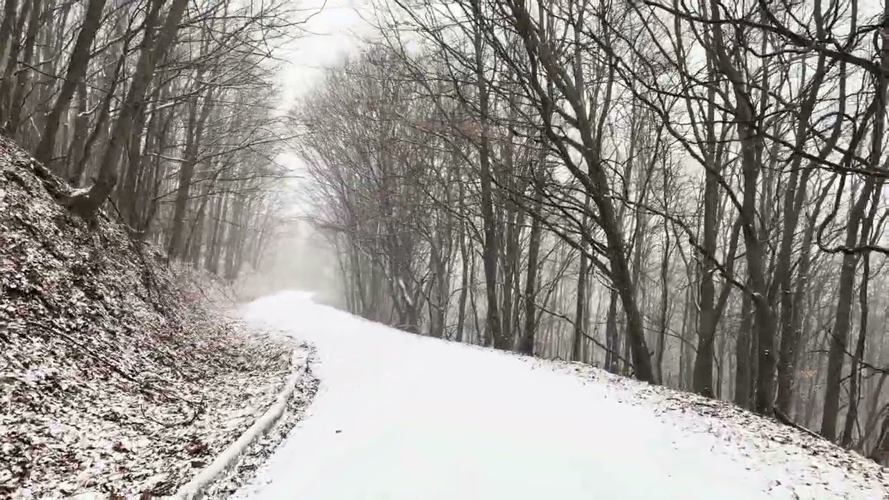 Börzsöny-Nagyírtáspuszta