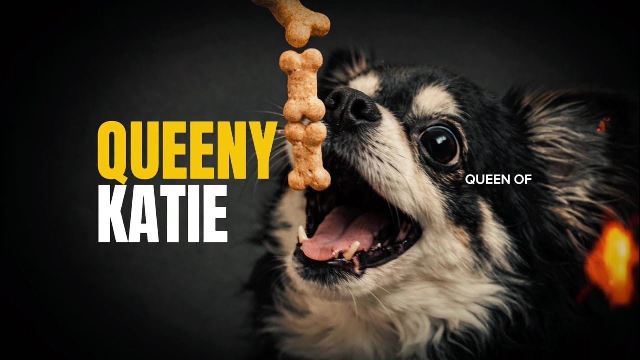 QUEENY KATIE - AdameMusic (Official Midnight Visual)