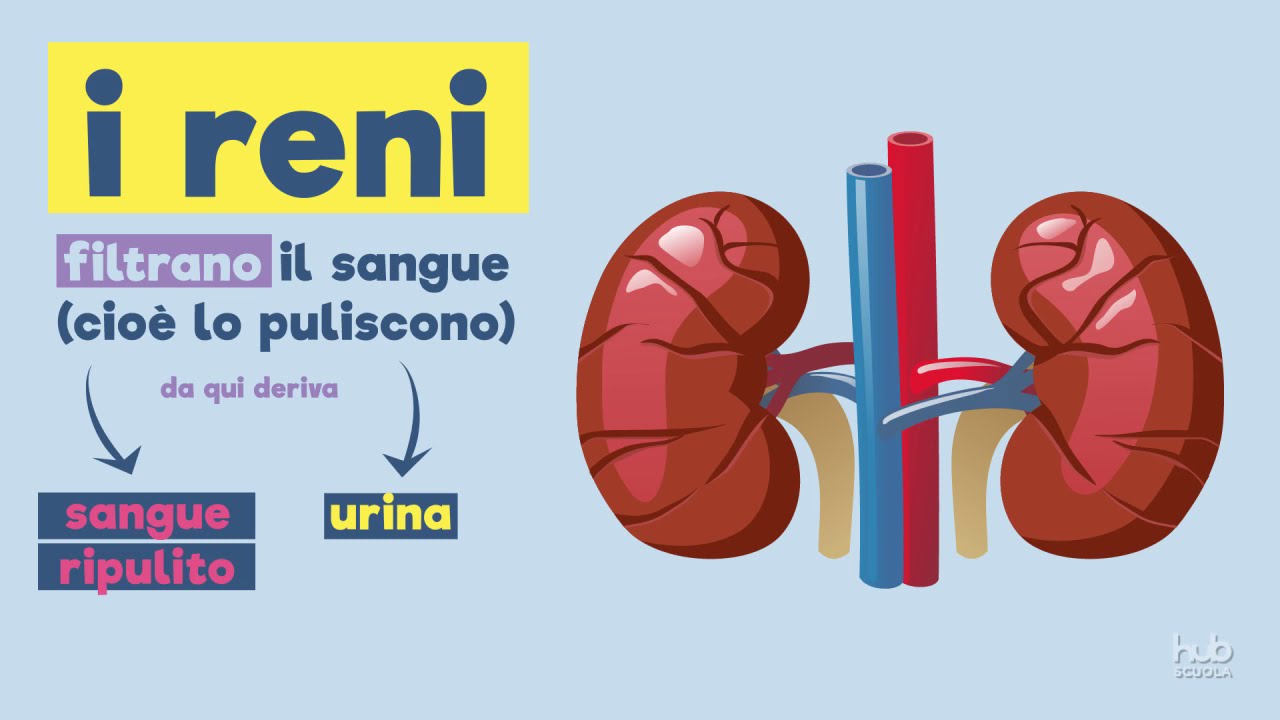 Videoesperimenti - La filtrazione