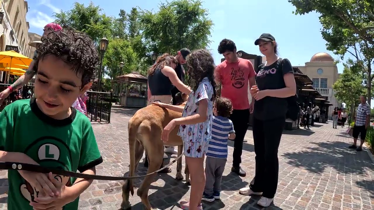 Cash 2.0 Great Dane at Victoria Gardens outdoor shopping mall in Rancho Cucamonga, California 11
