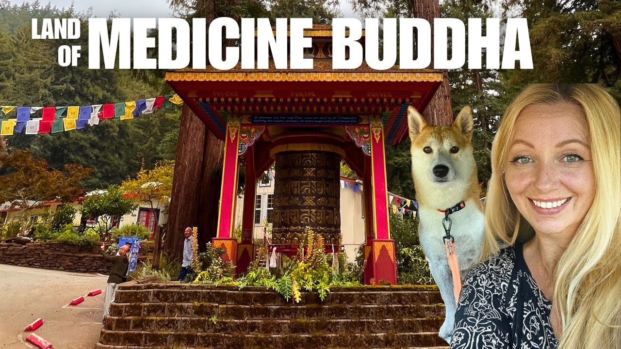 Land of Medicine Buddha Drive | Hidden Redwoods Sanctuary in Soquel, California