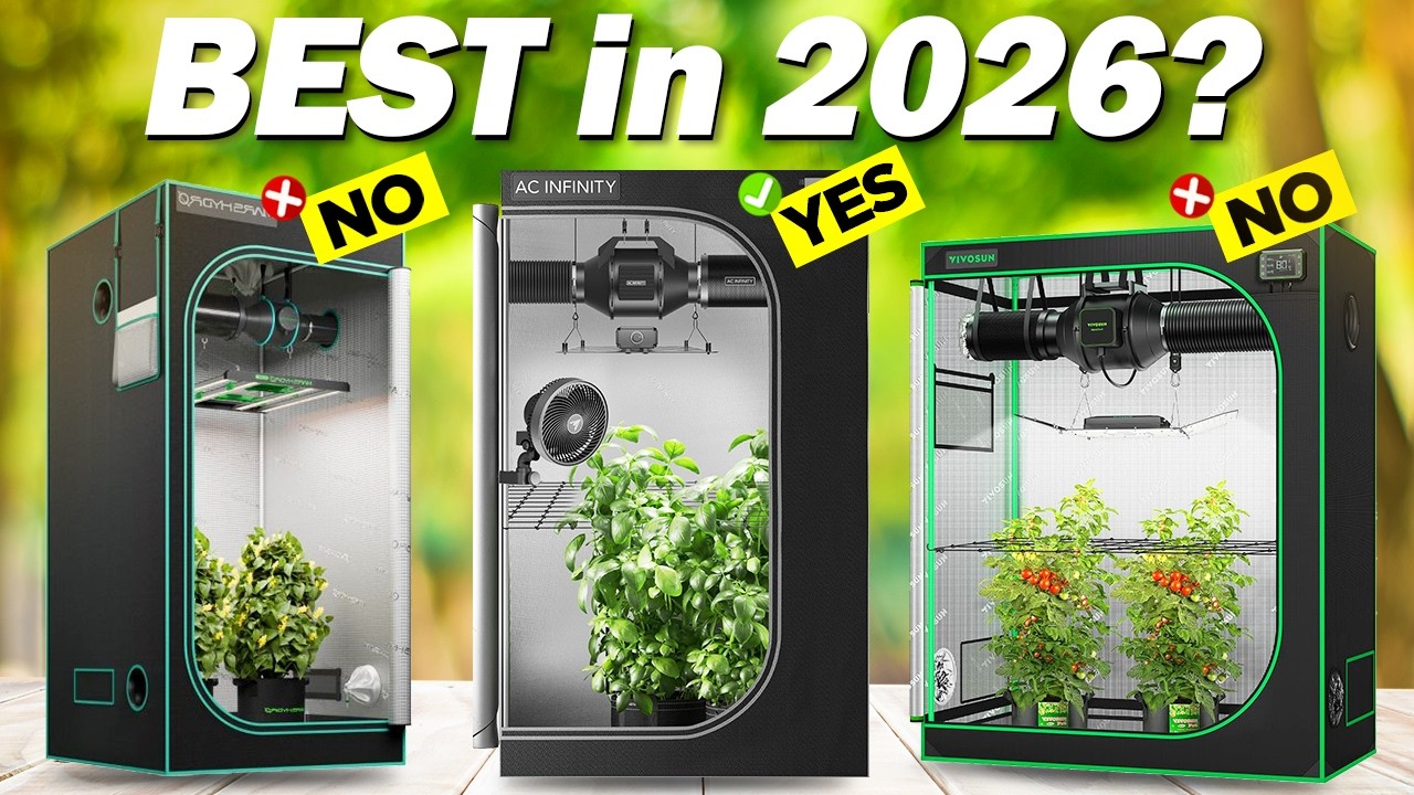 What's The Best Grow Tent (2025)? The Definitive Guide!