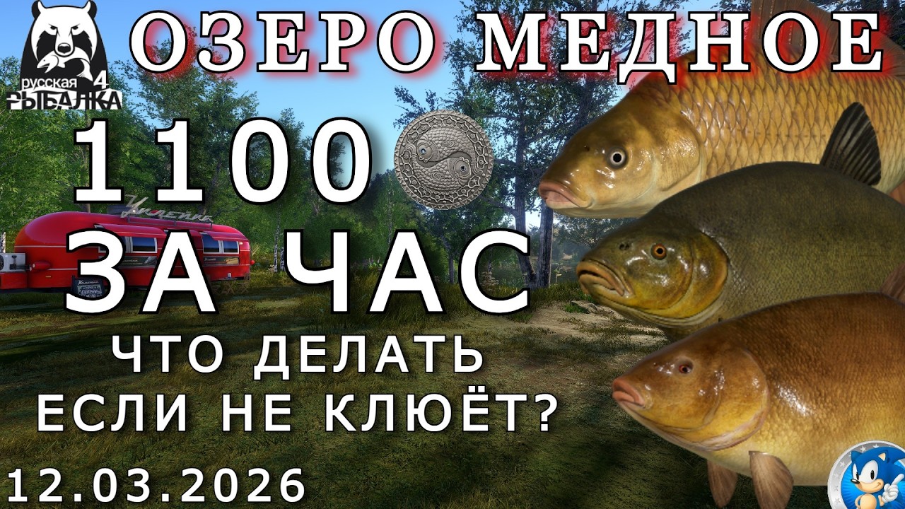 🌟1100 МОНЕТ ЗА ЧАС. ЧТО ДЕЛАТЬ ЕСЛИ НЕ КЛЮЁТ?🌟Русская Рыбалка 4(РР4)🌟