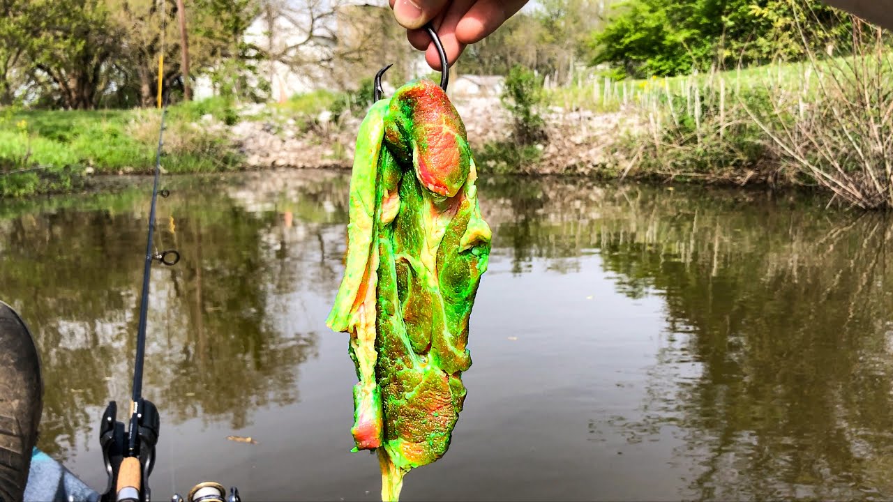 Fishing for The POND MONSTER!!! (Near PB!)
