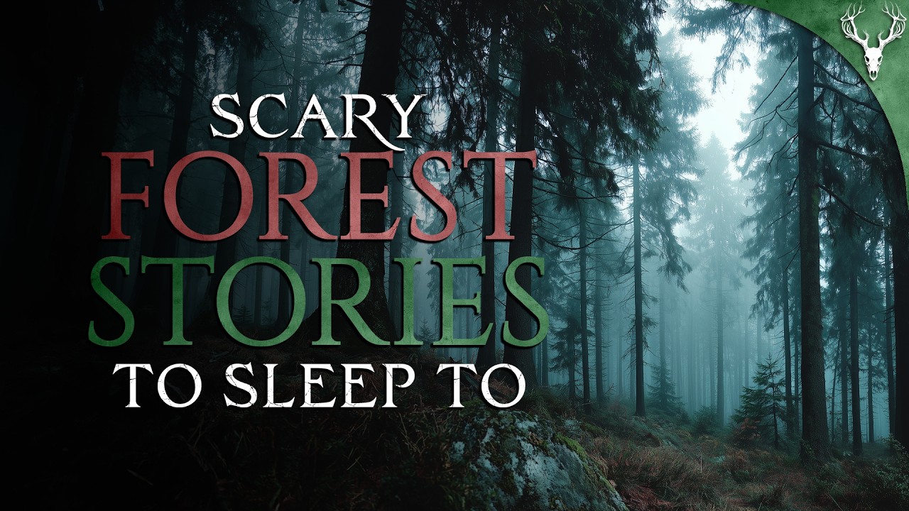 16 True Woods Horror Stories to Fall Asleep To