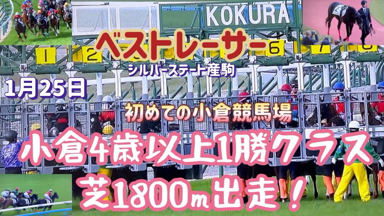 [競馬・馬主]JRAベストレーサー　1/25小倉4歳以上1勝クラス　芝1800m出走！　初めての小倉競馬場