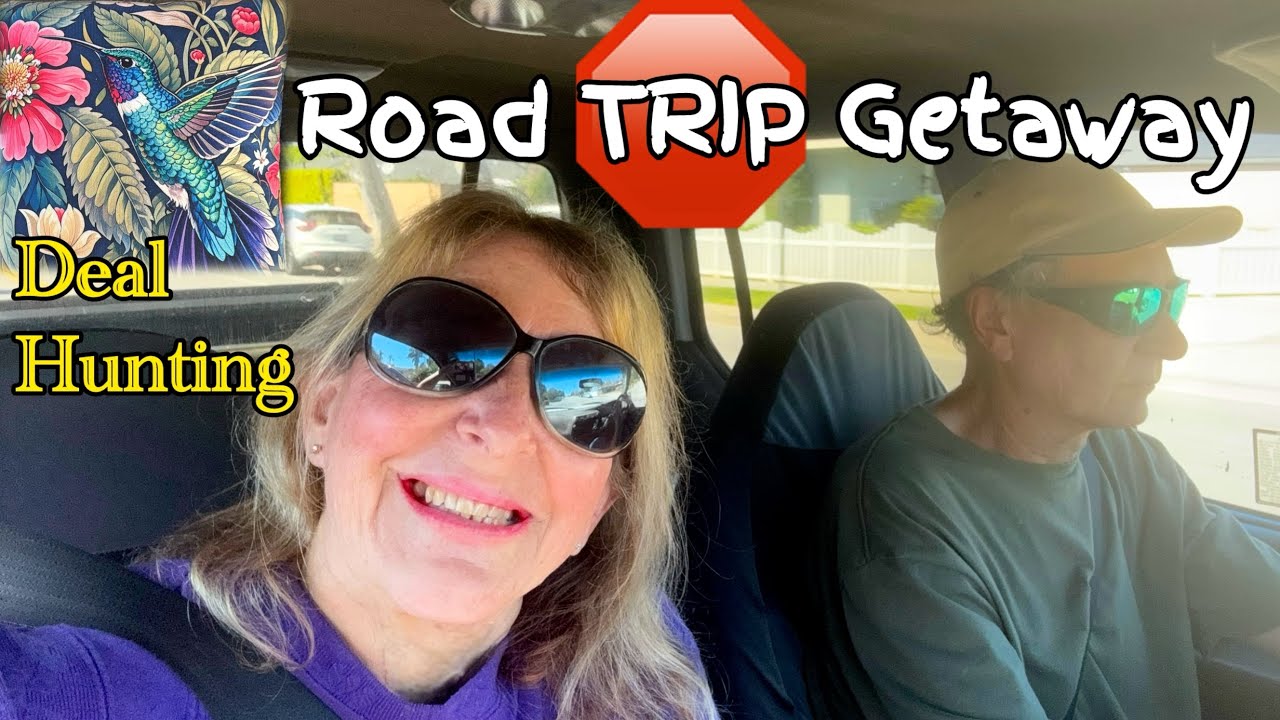 Road Trip to Deal Bin Store Escape from the Garden and Hummingbirds￼ to Search for Treasures